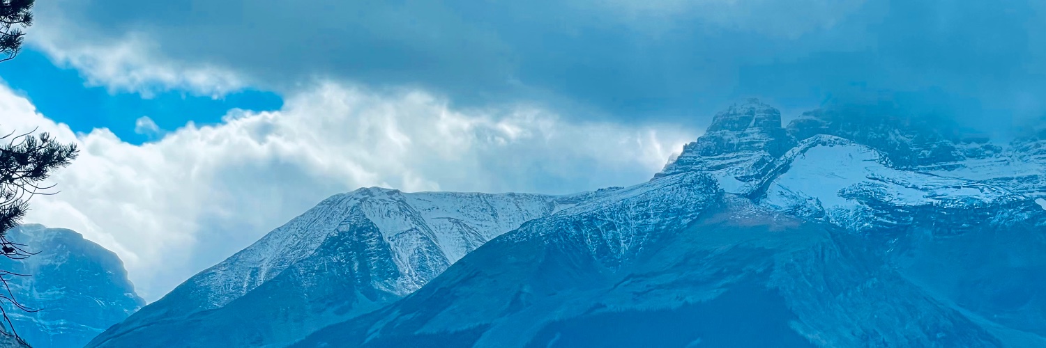 avildsen's profile banner image