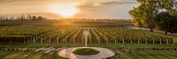 BodegaNorton Profile Banner