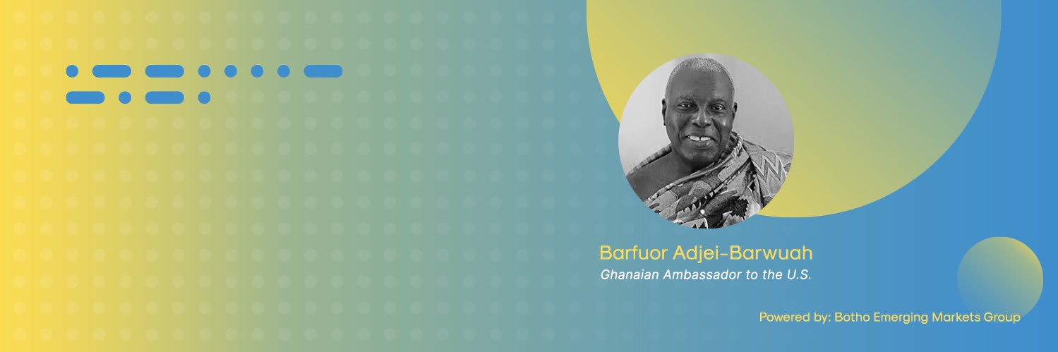 Botho Emerging Markets Group banner