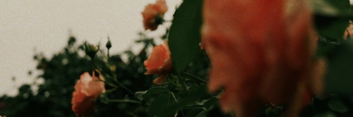 cmill9's profile banner image