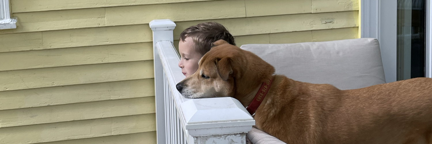 DaveLearnsToDad's profile banner image