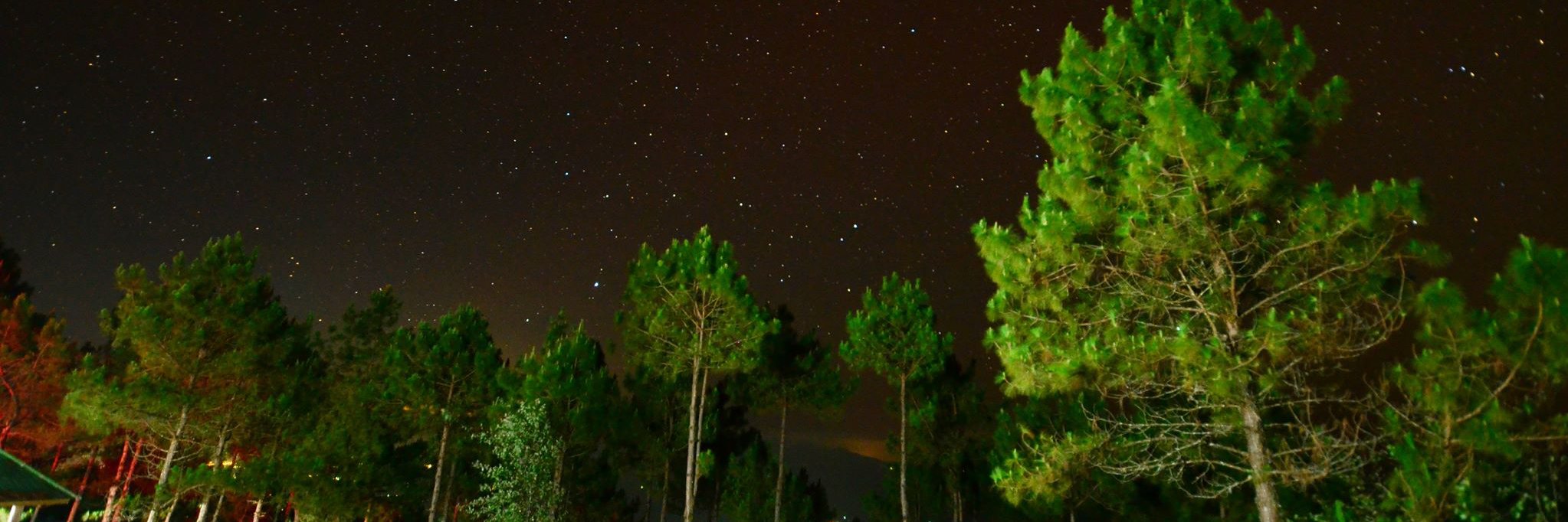 pichit_golf's profile banner image