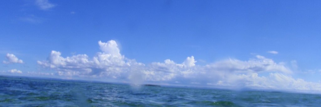 ryu4rad's profile banner image