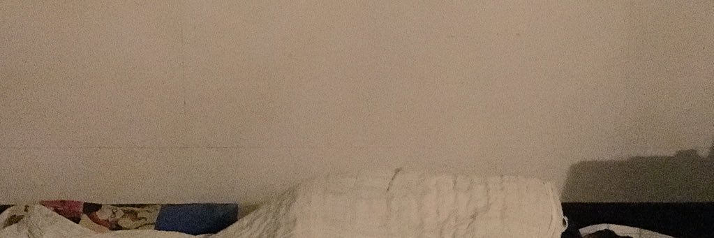 dino · ˚ ༘ 🦖🦈✨ banner
