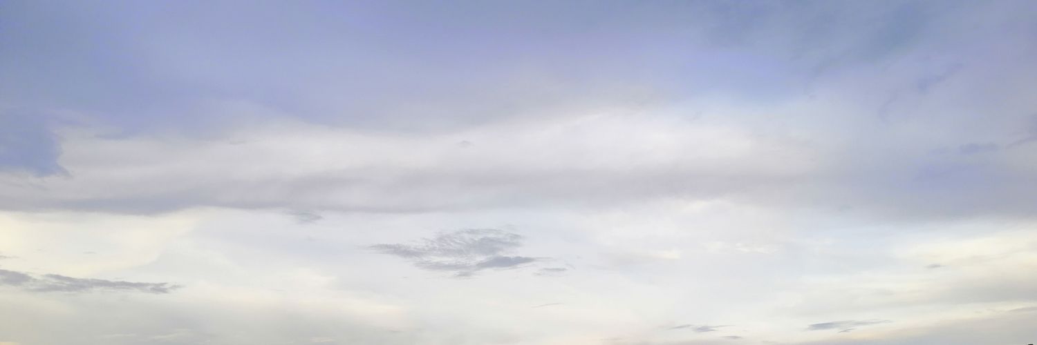 Sharonsxe's profile banner image