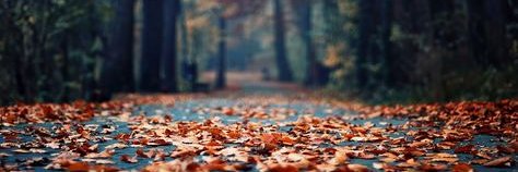 Estelle Doyle banner