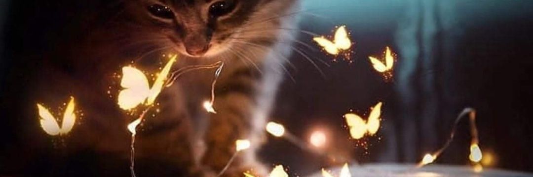 Ceki66's profile banner image