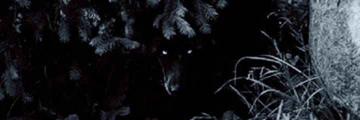eldeb304's profile banner image
