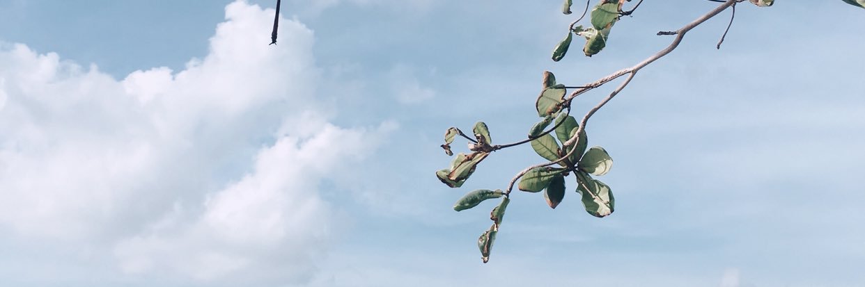 yyyoonns's profile banner image