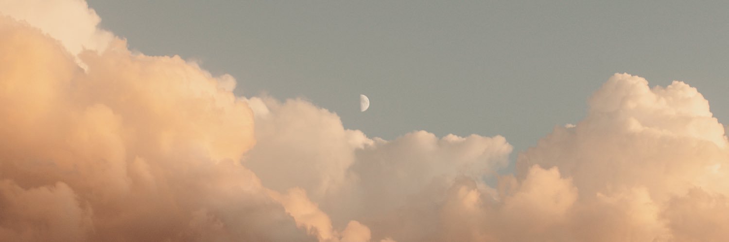 ceciliabilton's profile banner image