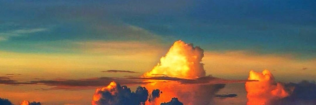 mwatkinsj's profile banner image