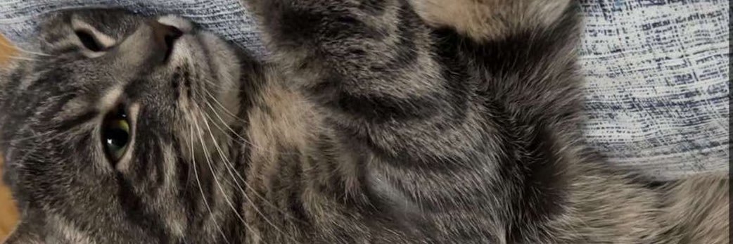 lordmin0's profile banner image