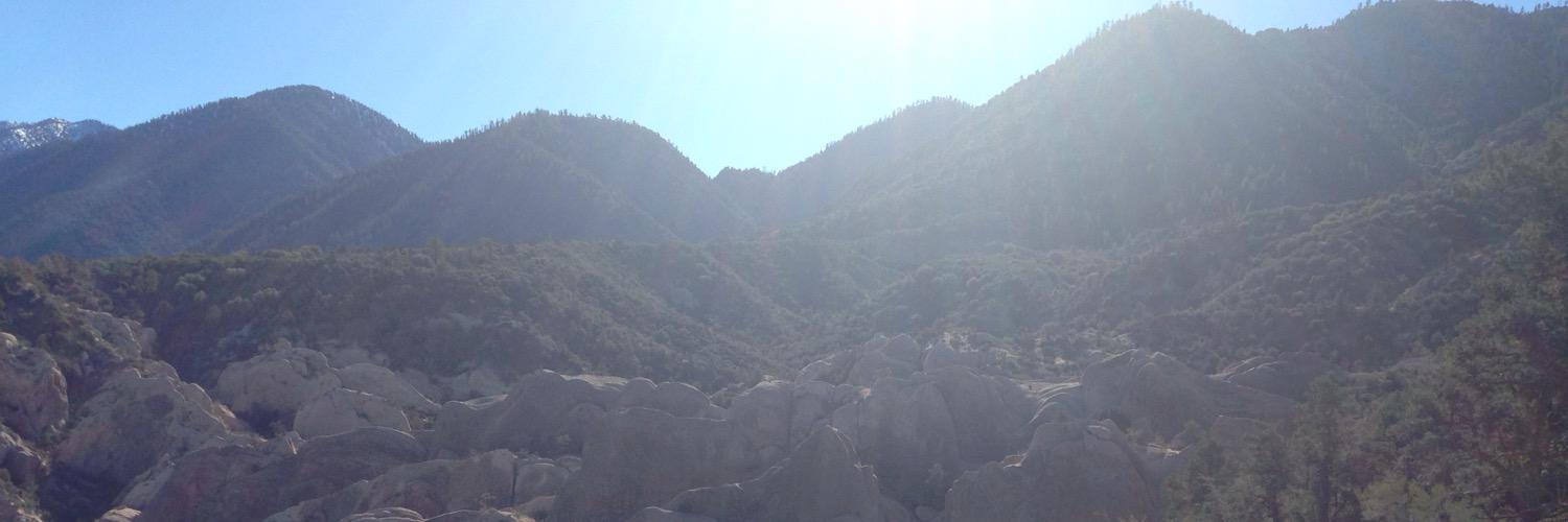 highvibeeli's profile banner image