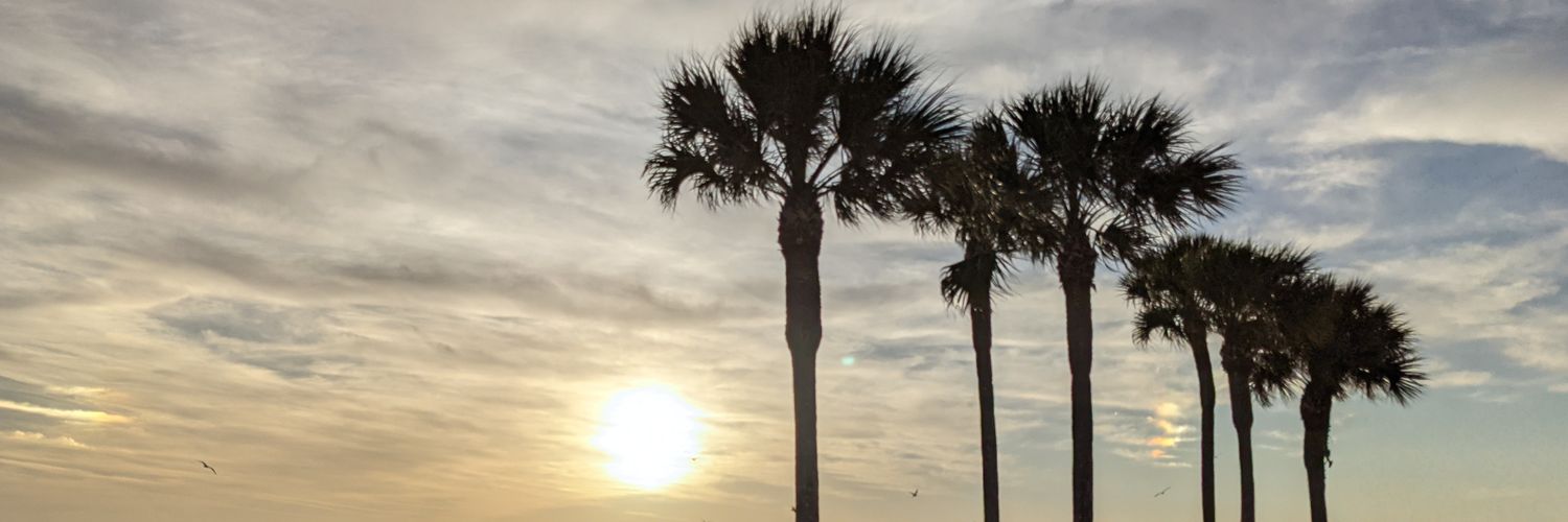 TerriMorton's profile banner image