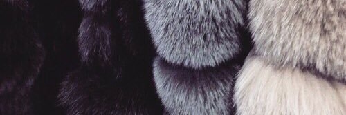 YoungOphidian's profile banner image