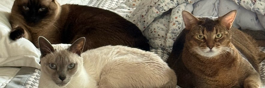 กดพอสเลยล์ banner