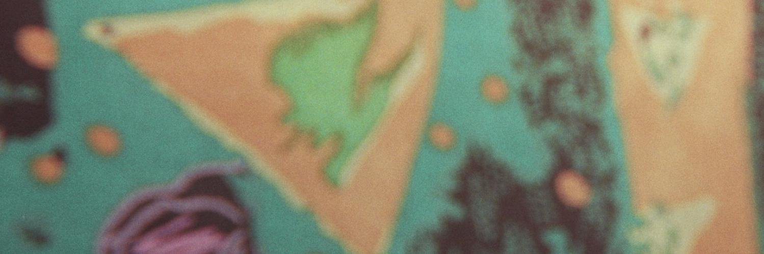 Hushmoss1's profile banner image