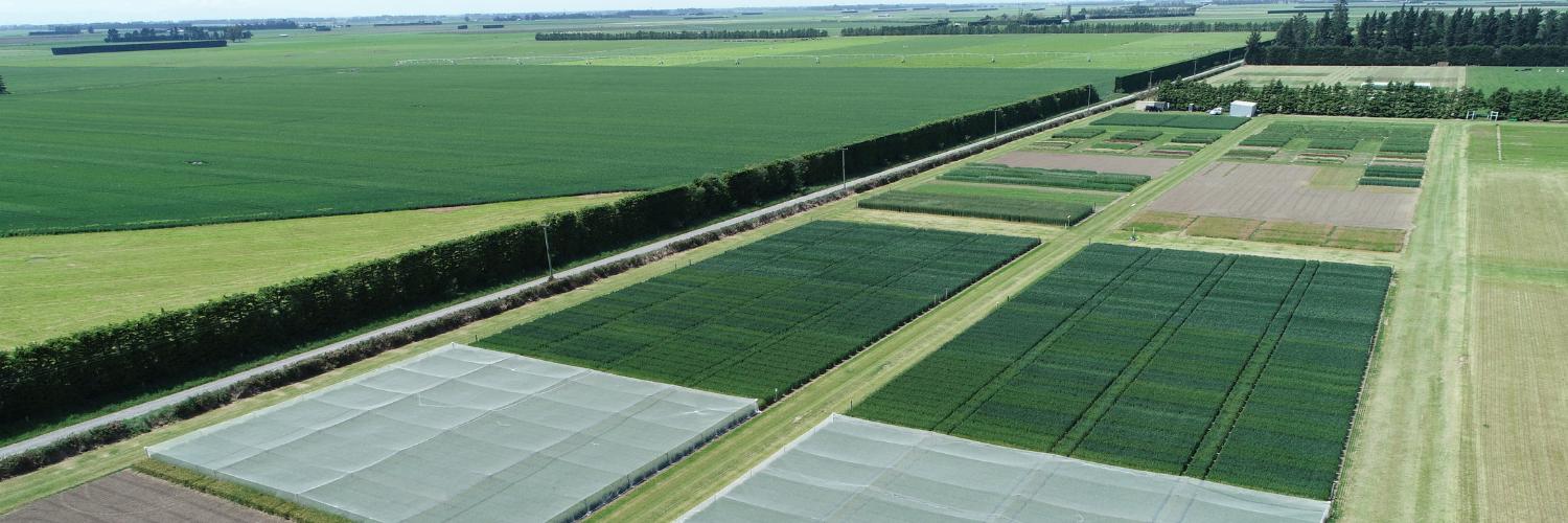 Foundation for Arable Research (NZ) banner