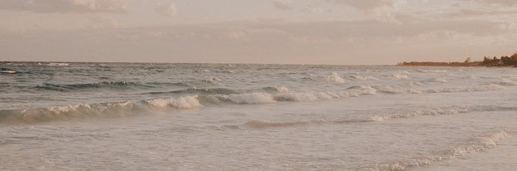 DanielaBrizu's profile banner image
