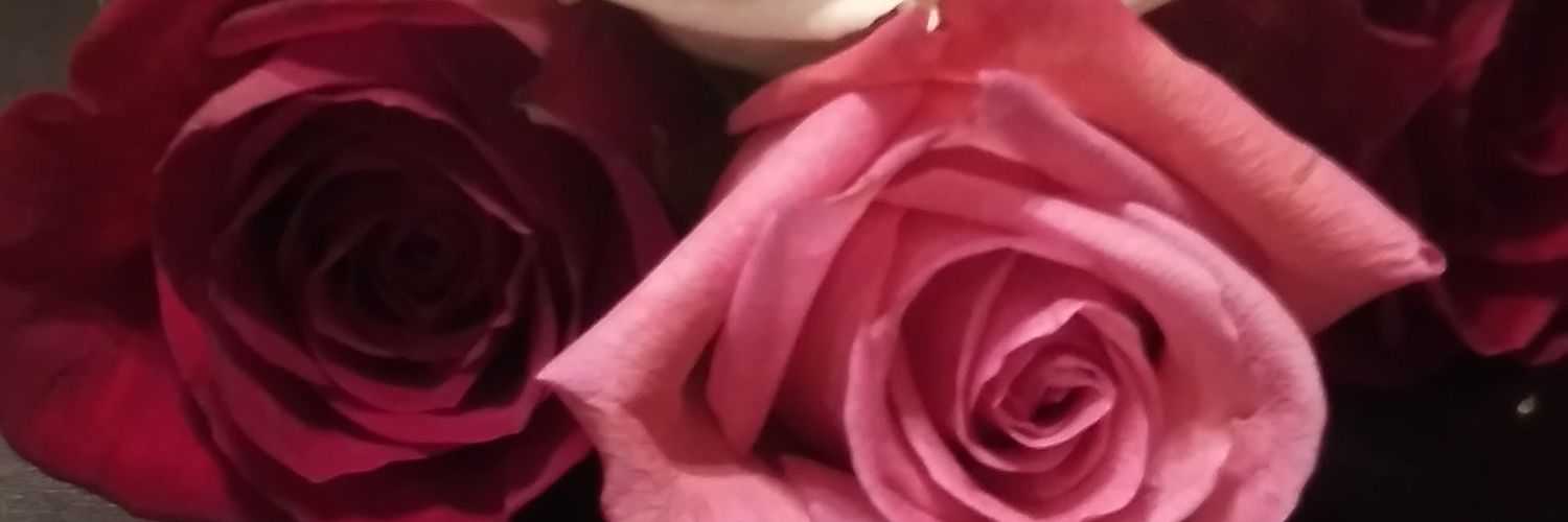 JdbMaldonado's profile banner image