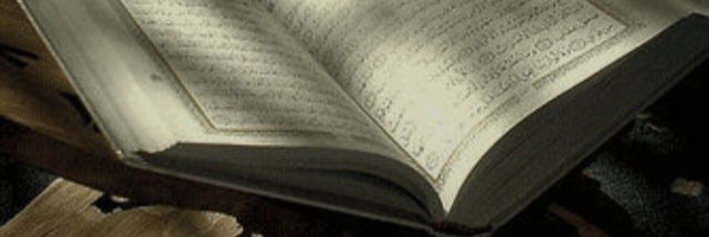q_305's profile banner image