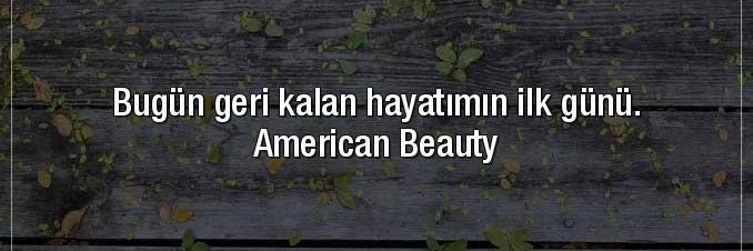 almanca_u's profile banner image
