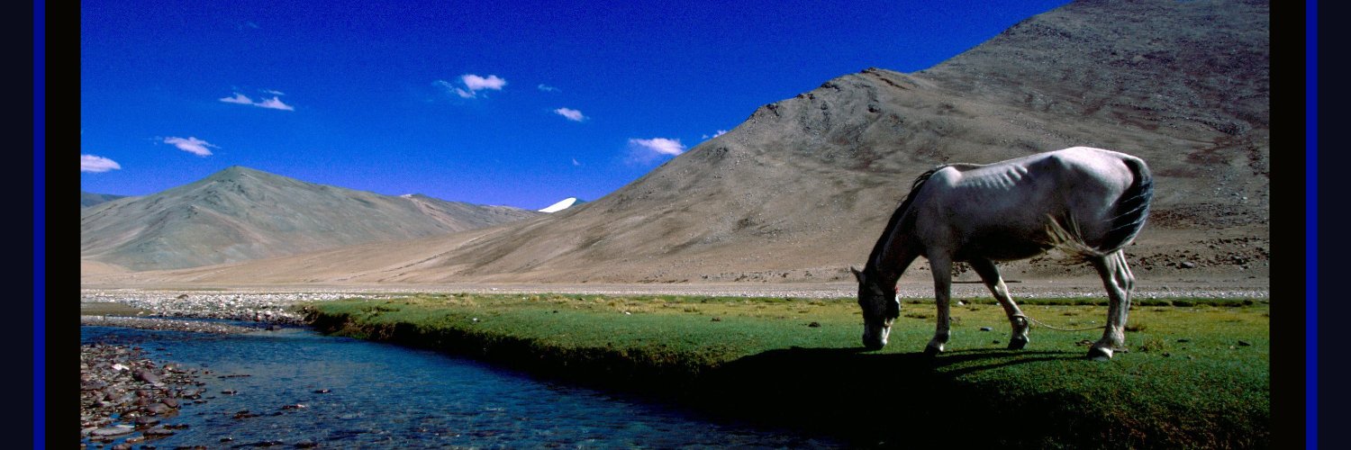 Thomas Mentienne banner