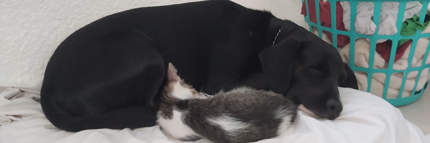 Dannycn_'s profile banner image