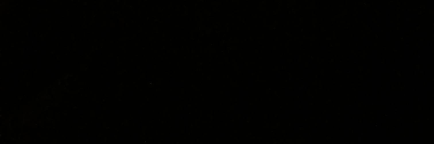 scutti20's profile banner image