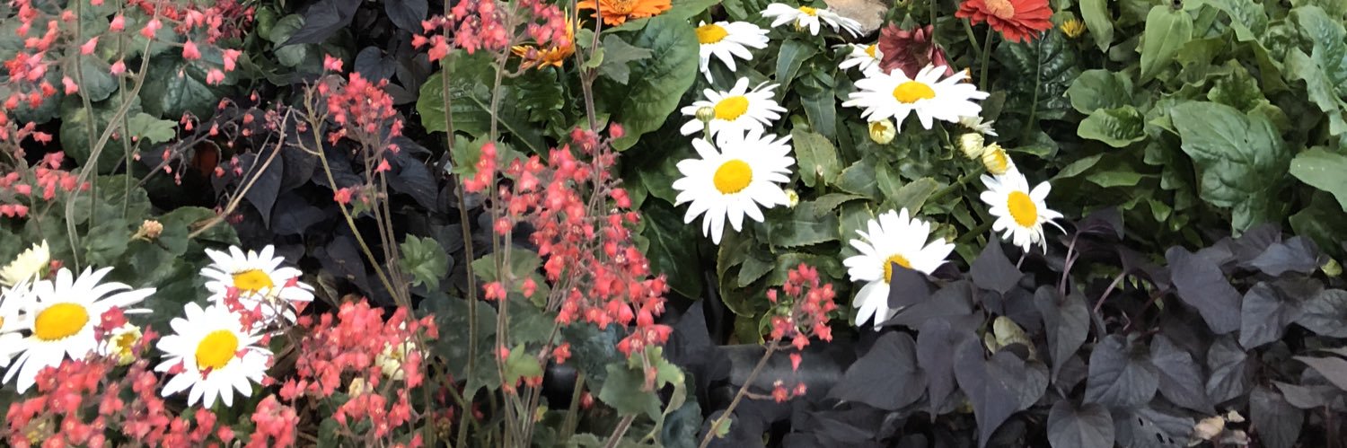 KathyMnCO's profile banner image
