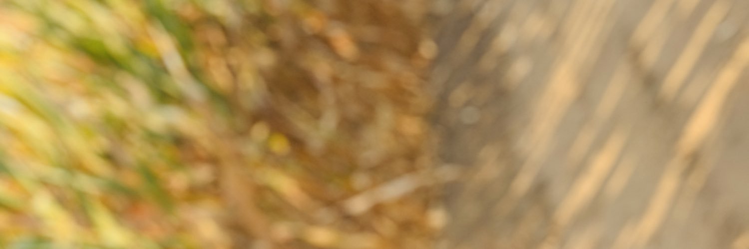 _Aja916's profile banner image