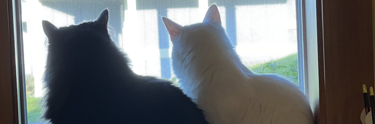 HallieHoffert's profile banner image