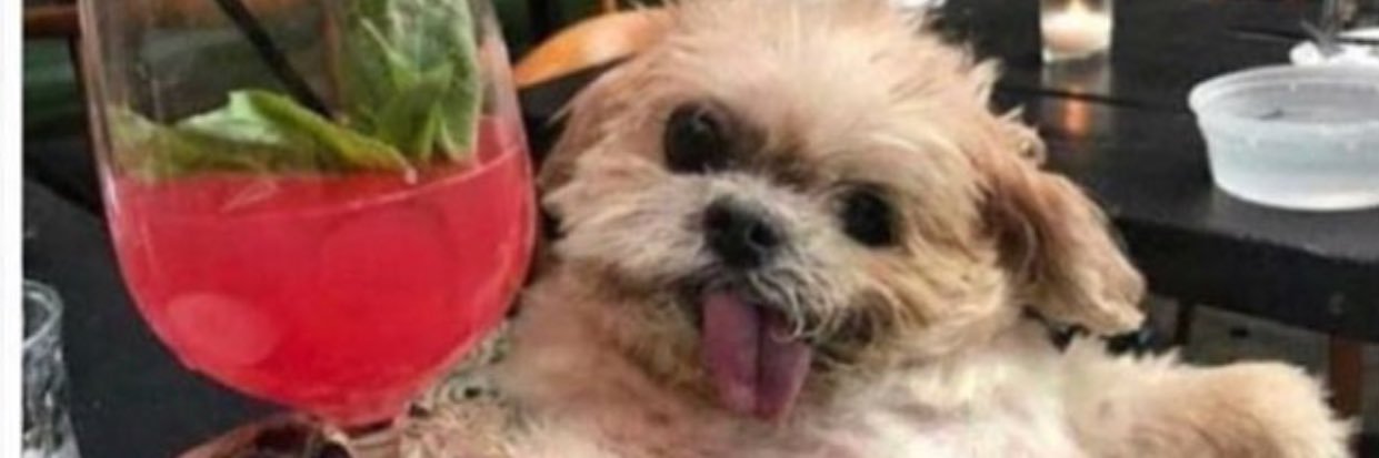 AssHoleLou69's profile banner image