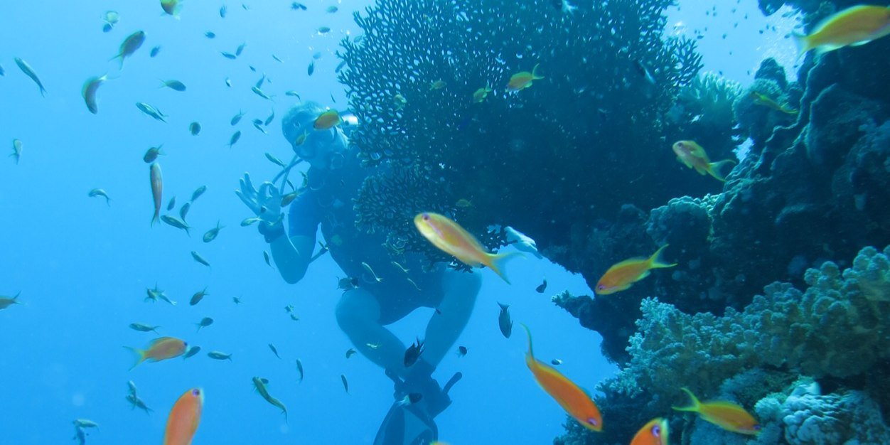 🅰️qu🅰️M🅰️nnnnnn banner