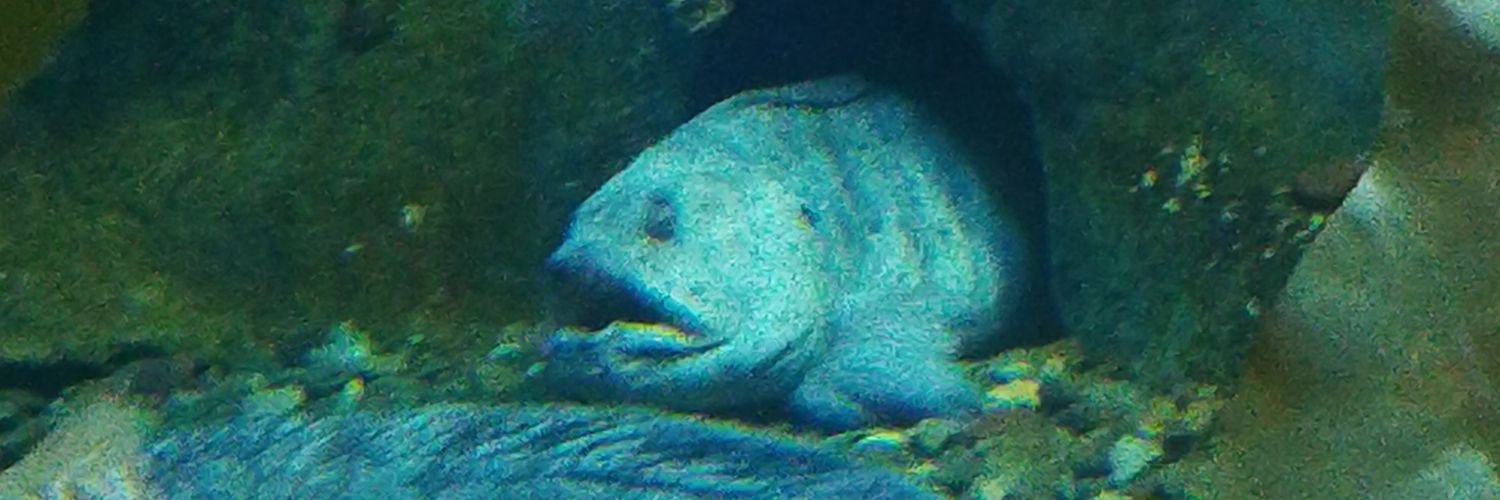 ХЫЫЫЫ УЛЫБОЧКУ banner