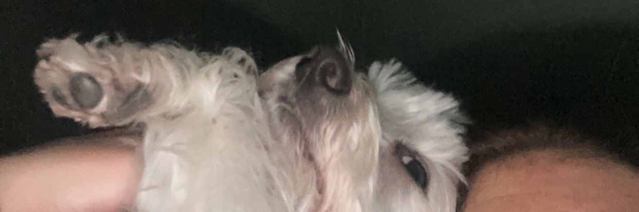 gabi_suth's profile banner image