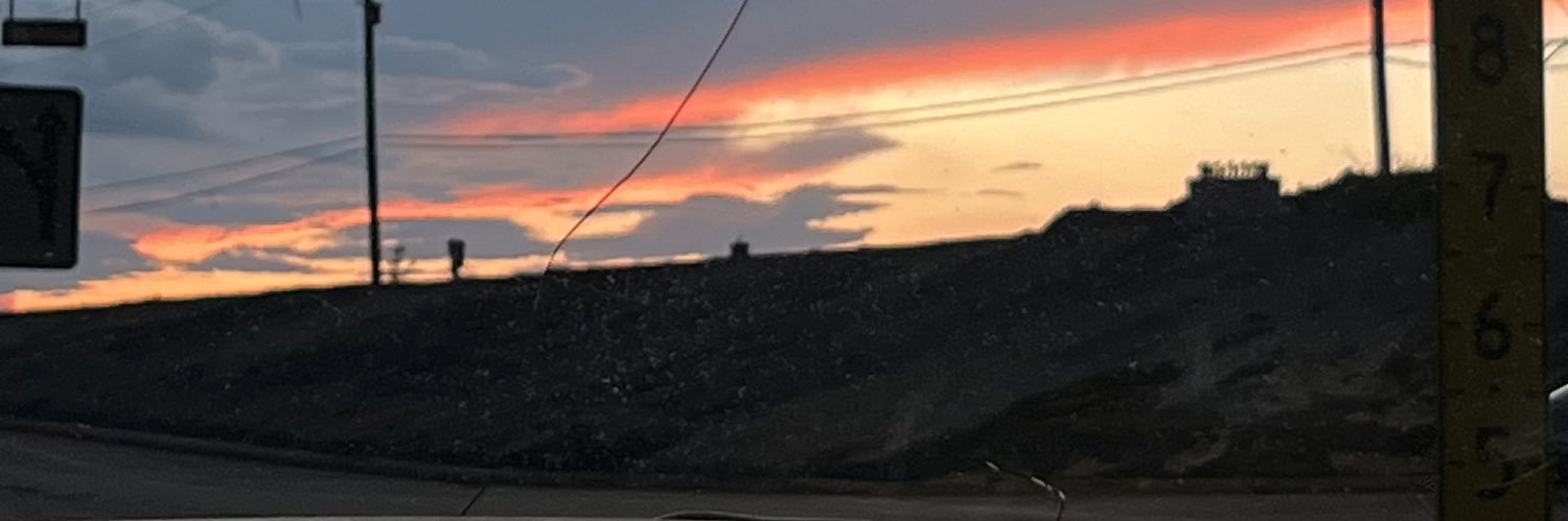 corythesavage's profile banner image
