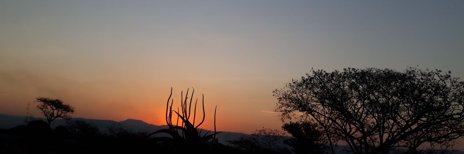 2Mjondolo's profile banner image