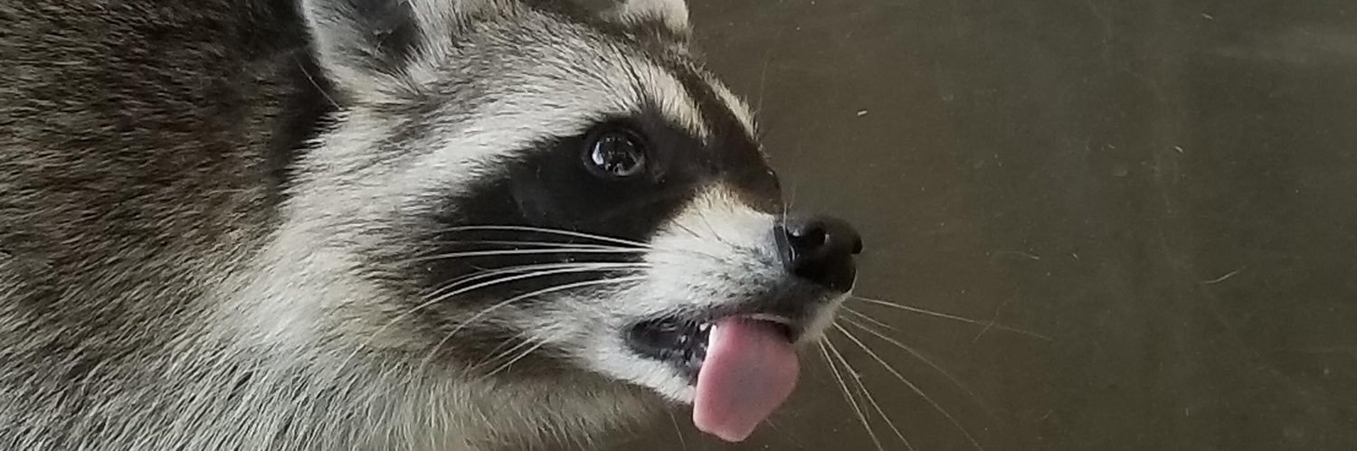 AbboudThatLife's profile banner image