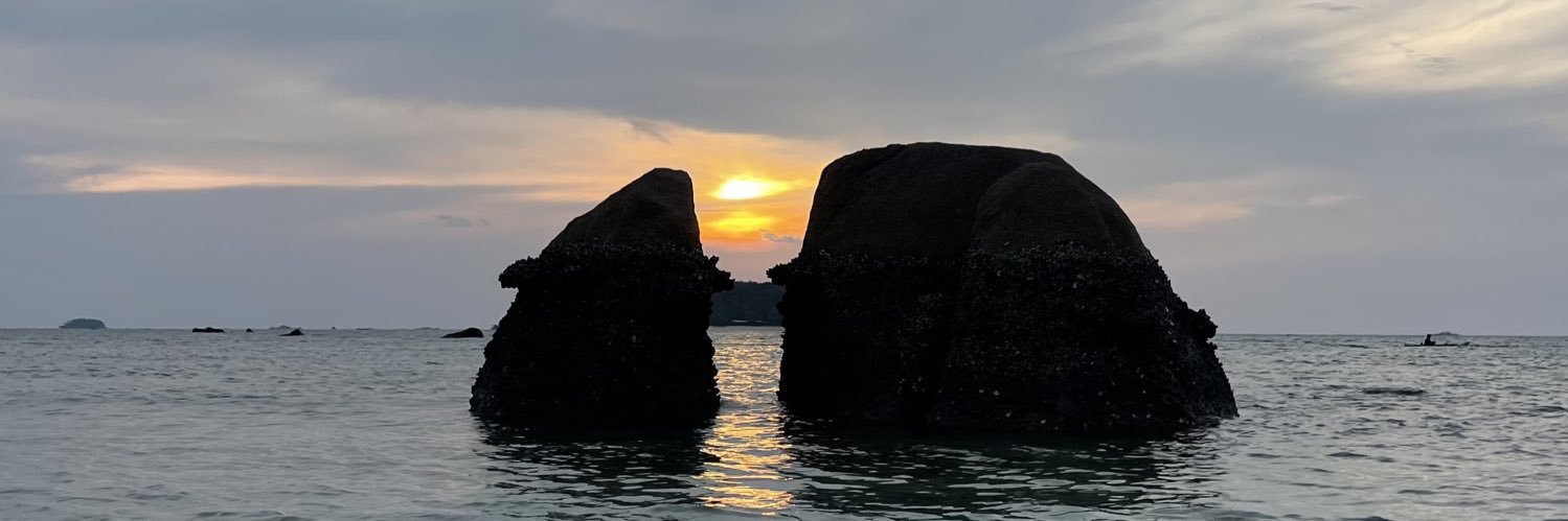 usernameisacat's profile banner image