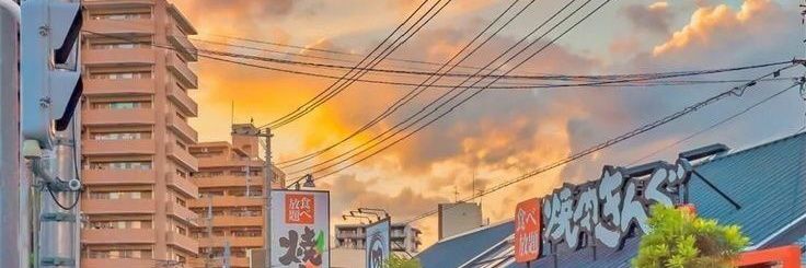 talae__'s profile banner image