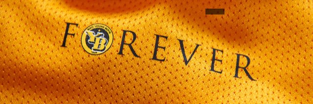 Ueli Schwaller 📯 banner