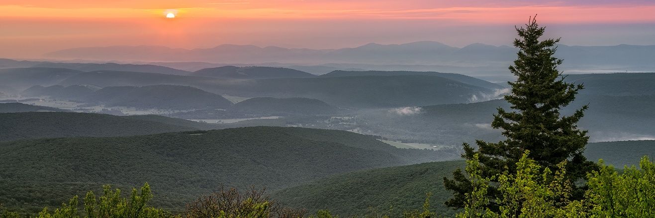 Samantha Blackmare 🕊️ 🔻 banner