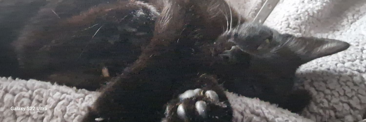 natashha103's profile banner image