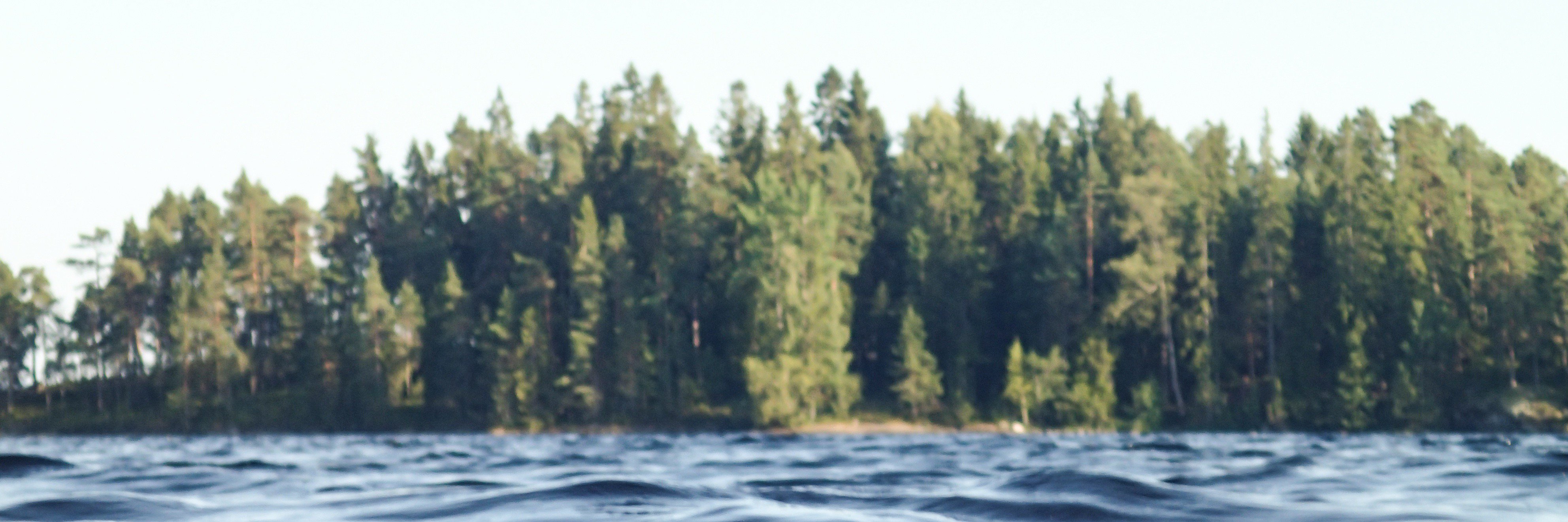 evgenisbg's profile banner image