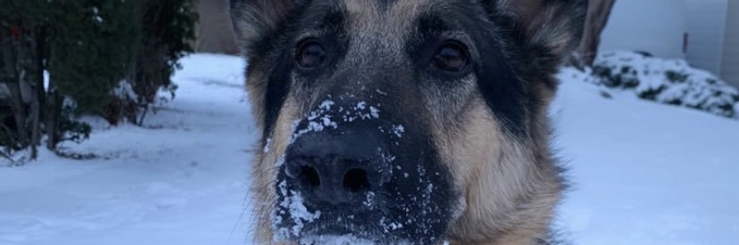 Rayyymond_'s profile banner image