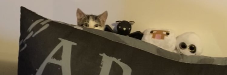 Kaybean0_o's profile banner image