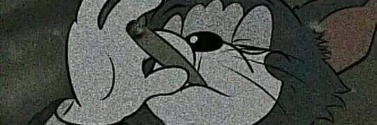 angelrobertocam's profile banner image