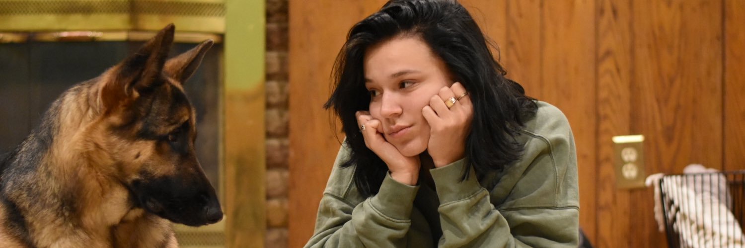 ShaeLewins's profile banner image