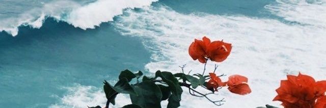 ClaryyyQ's profile banner image